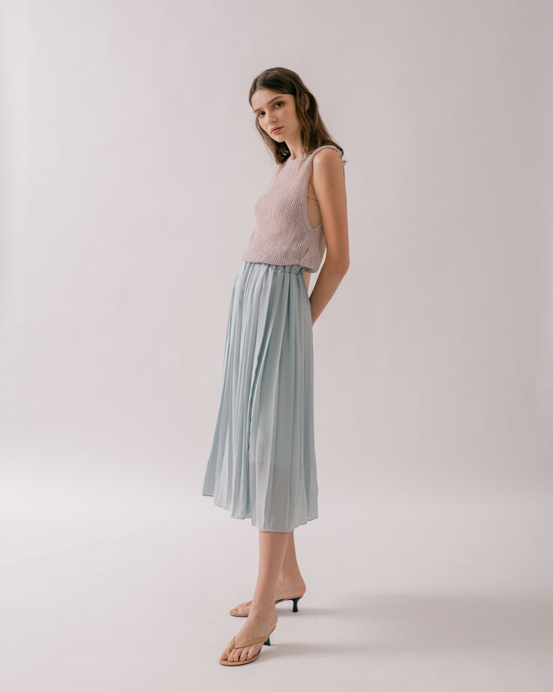 Pleated Skirt  Nordstrom Anniversary Sale Picks  Just A Tina Bit